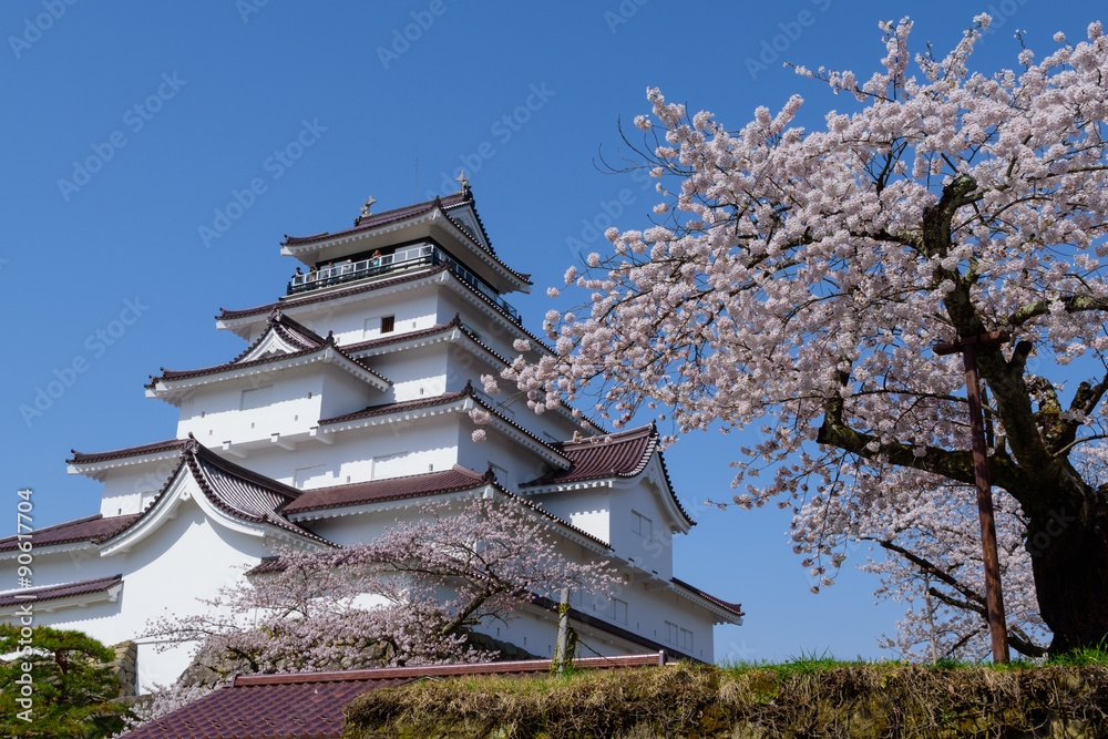 Cherry blossoms at the Tsuruga Castle in Aizuwakamatsu, Fukushima, Japan Cherry blossoms at the Tsuruga Castle in Aizuwakamatsu, Fukushima, Japan