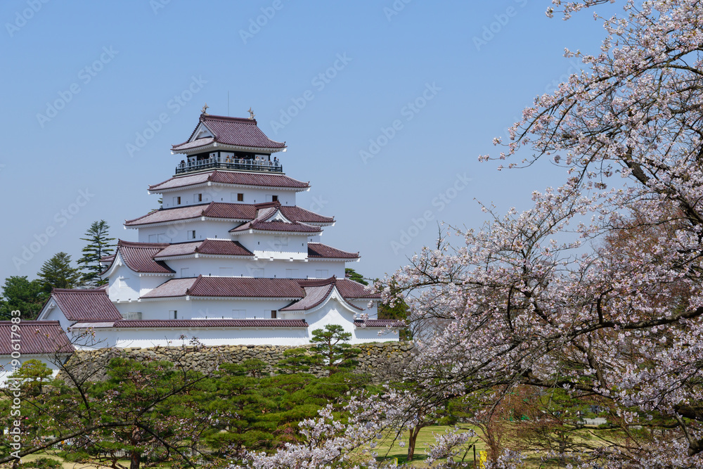 Cherry blossoms at the Tsuruga Castle in Aizuwakamatsu, Fukushima, Japan Cherry blossoms at the Tsuruga Castle in Aizuwakamatsu, Fukushima, Japan