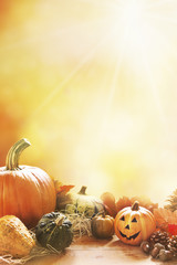 Autumn still life in bright sunlight