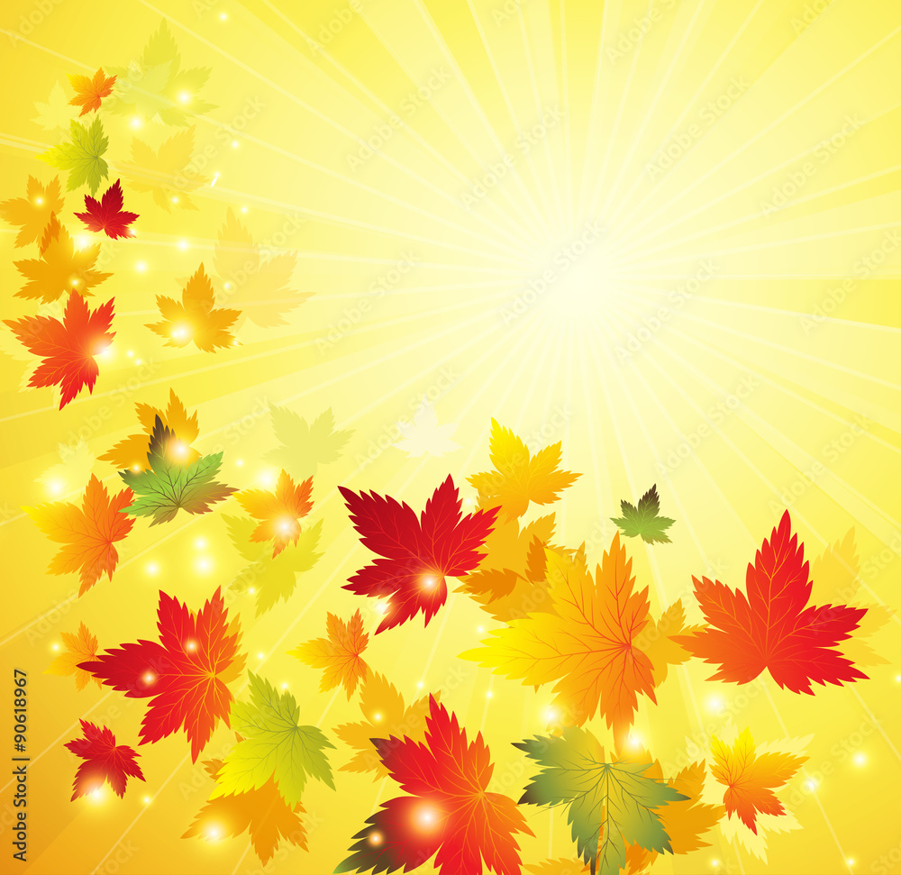 Autumn maple leaves background Autumn maple leaves background