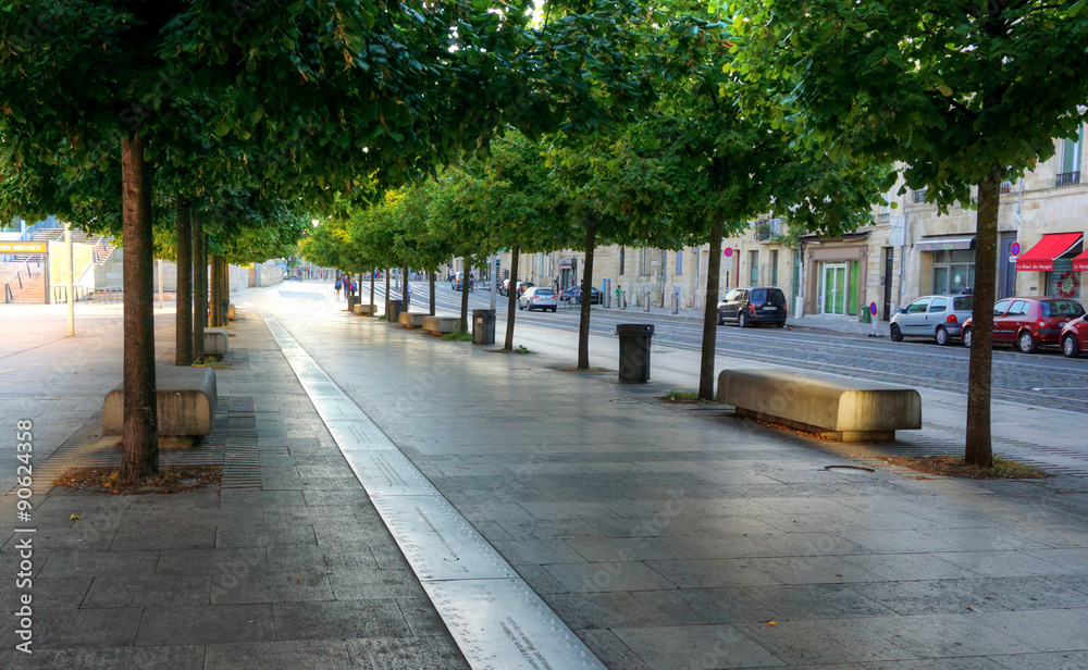 A romantic alley with two rows of trees and a long and narrow aluminum path with inscriptions, on the ground.