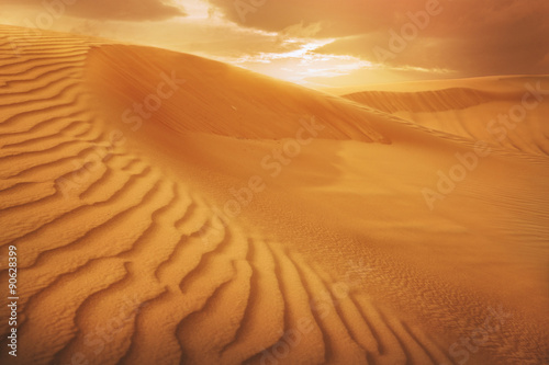 Desert Landscape