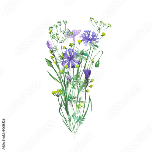 Isolated bouquet of wildflowers and cornflowers painted in watercolor on a white background  decoration postcard  greeting card or invitation