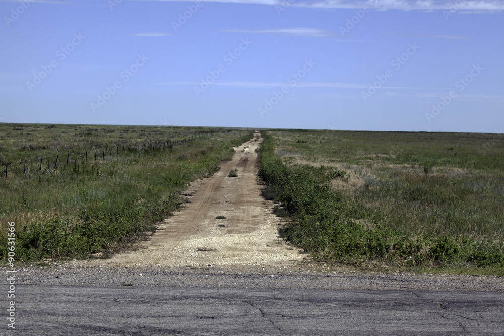 Fototapeta premium Dirt Road