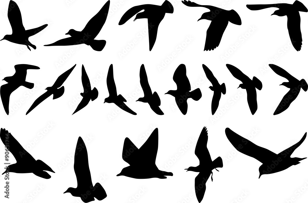 The black silhouettes of group flyiing seagulls on white background The black silhouettes of group flyiing seagulls on white background