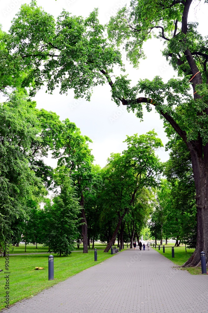Obraz premium The Cathedral Square in central Vilnius on summer