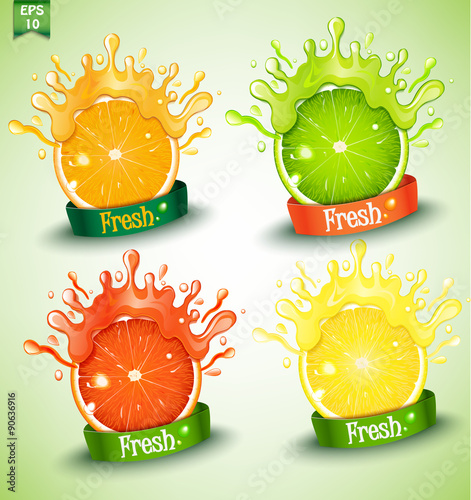 Set fresh grapefruit, lemon, orange, lime. Vector.