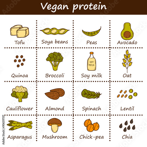Set of cartoon hand drawn objects on vegan protein source theme
