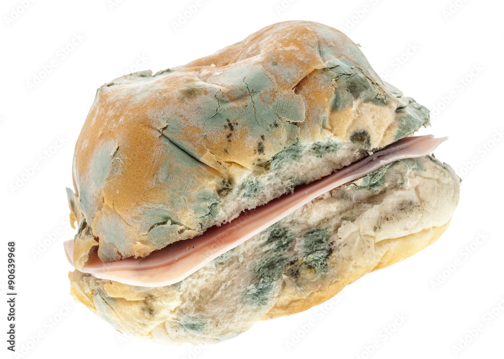 Obraz premium Mouldy Old Ham Roll