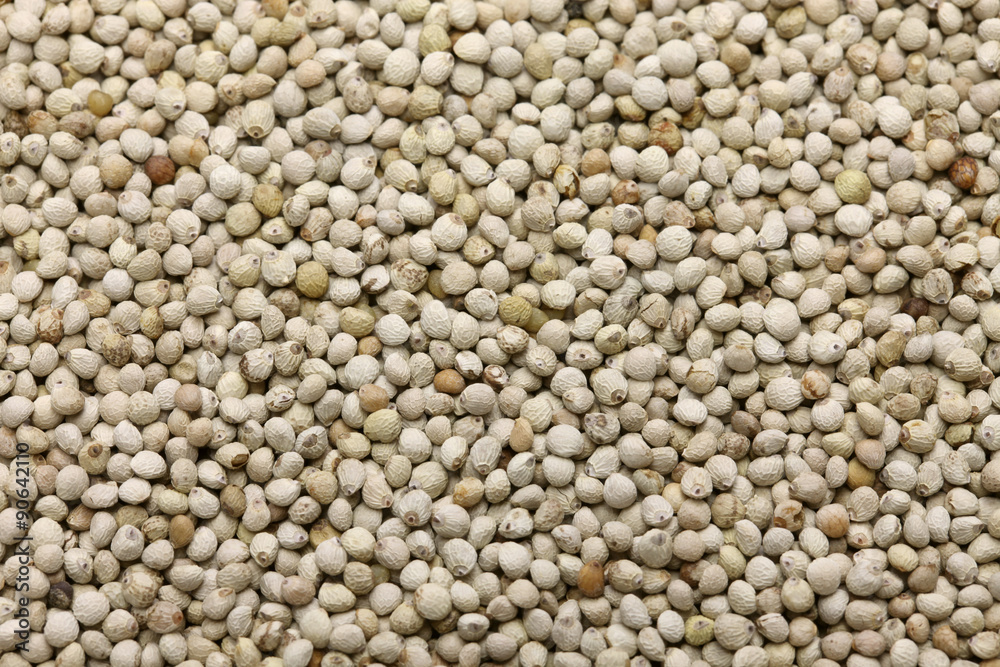 perilla seed