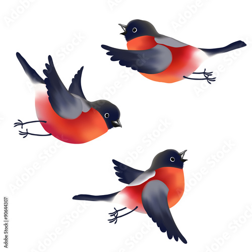 Bullfinches