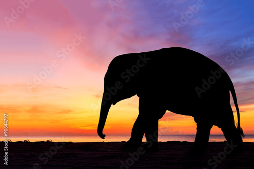 elephant silhouette