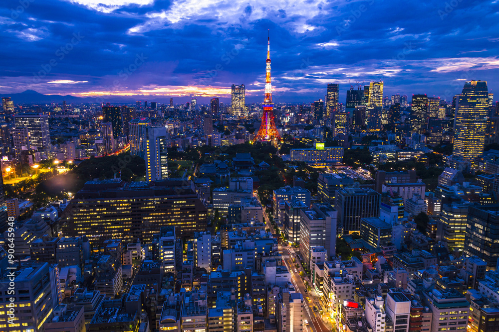 Tokyo, city aerial skyscape view of buildings and street. Japan, Tokyo, city aerial skyscape view of buildings and street. Japan,