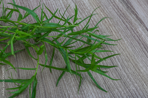 Tarragon