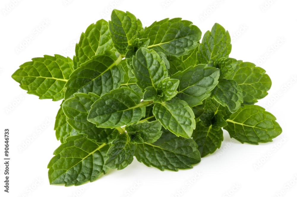 Fresh mint herb leaves isolated on white background cutout Fresh mint herb leaves isolated on white background cutout