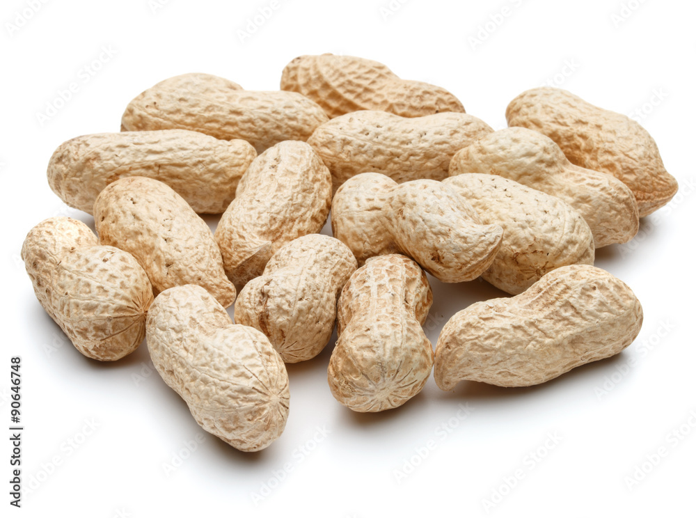 peanut pod or arachis isolated on white background cutout peanut pod or arachis isolated on white background cutout