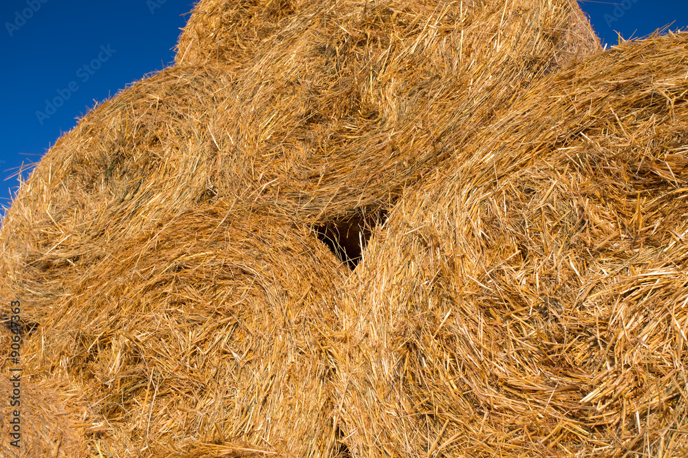 Piled hay bales on a field against blue sky Piled hay bales on a field against blue sky