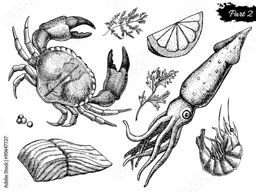 Vector hand drawn seafood set. Vintage illustration