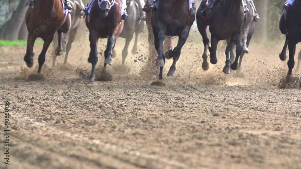 many of racehorses epic galloping run a closeup of the horse's