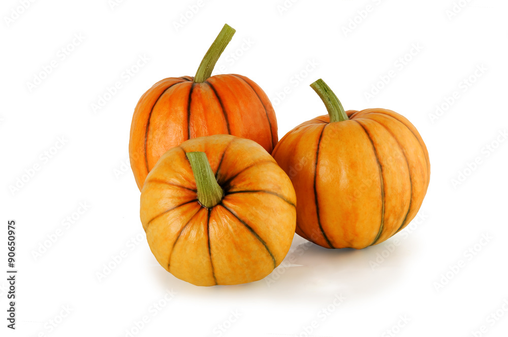 beautiful bright pumpkins on a white background beautiful bright pumpkins on a white background