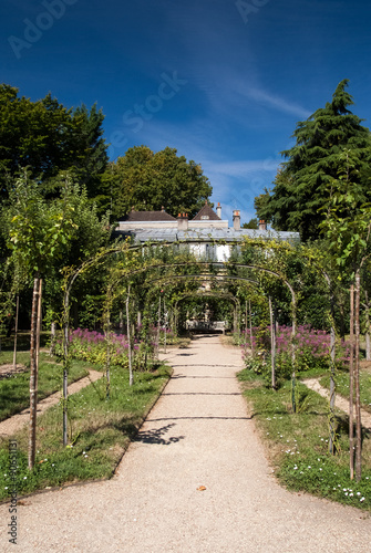 Albert Kahn garden in Paris