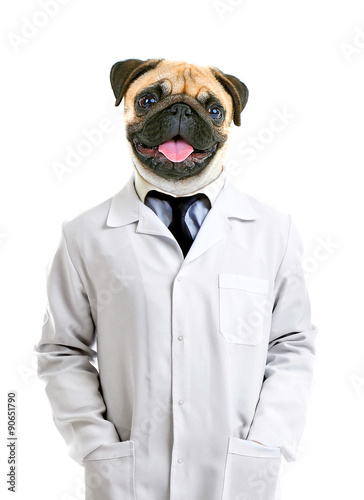Portrait Of Man With Animal...