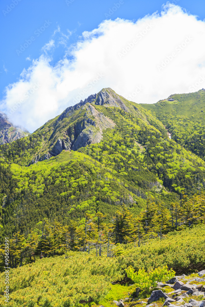 Summer of Mt. Yatsugatake, Nagano prefecture, Japan
