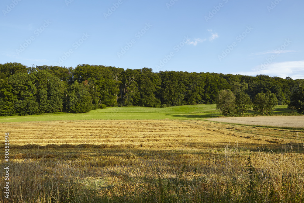 Landschaft mit Feldern und Waldrand im Ruhrgebiet
