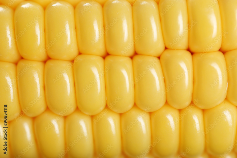 fresh corn close up fresh corn close up