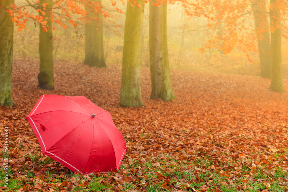 Red umbrella in autumn park on leaves carpet.
