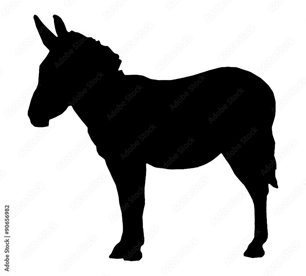 ロバ Stock イラスト Adobe Stock