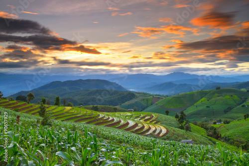 Terraced rice and landscape  Chiang Mai