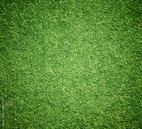 Beautiful green grass texture