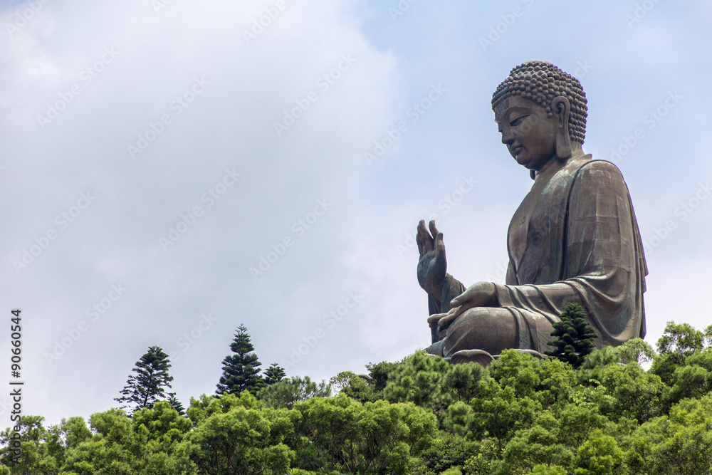 Fototapeta premium Tian Tan Buddha Statue Lantau Island