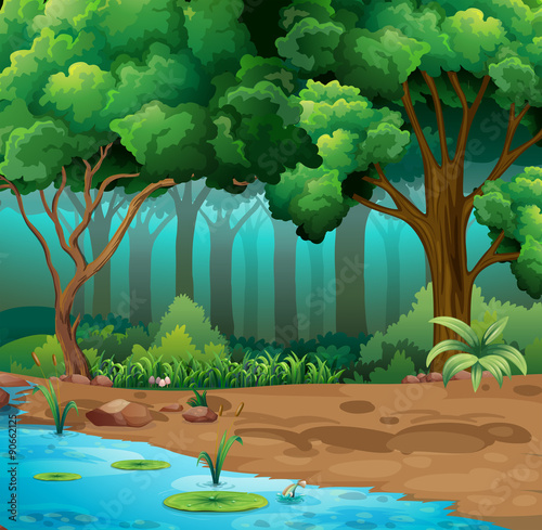 River run through the jungle