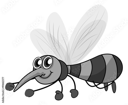 Mosquito flying on white