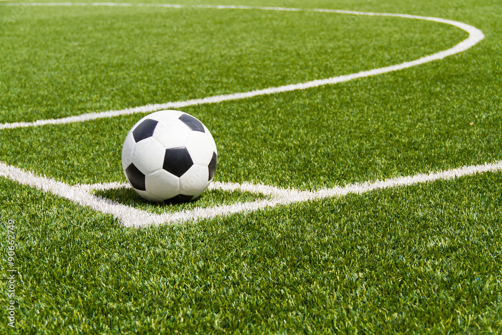 soccer soccer