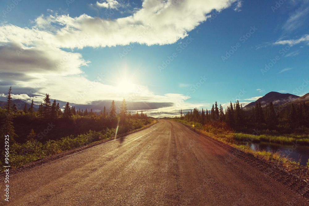 Obraz premium Denali highway