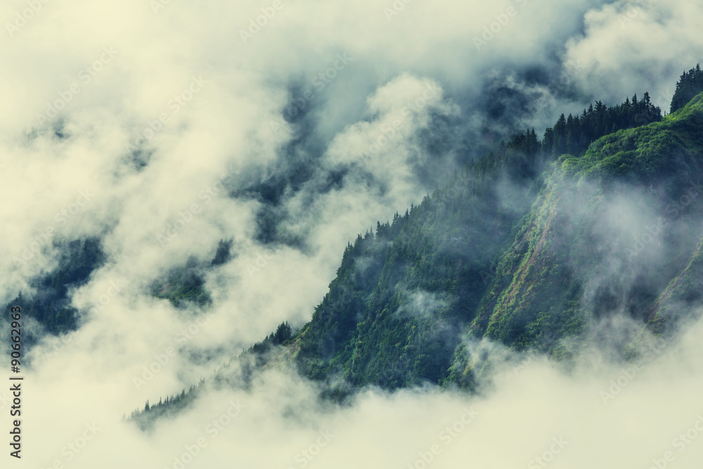 Fototapeta premium Fog in mountains