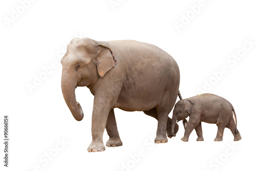 Mother and baby are walking on a white background. © nattanan726
