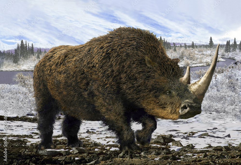 Obraz premium Nosorożec włochaty / Kolaż reprezentatywny dla plejstocenu - nosorożec włochaty na tle zimowej tundry.