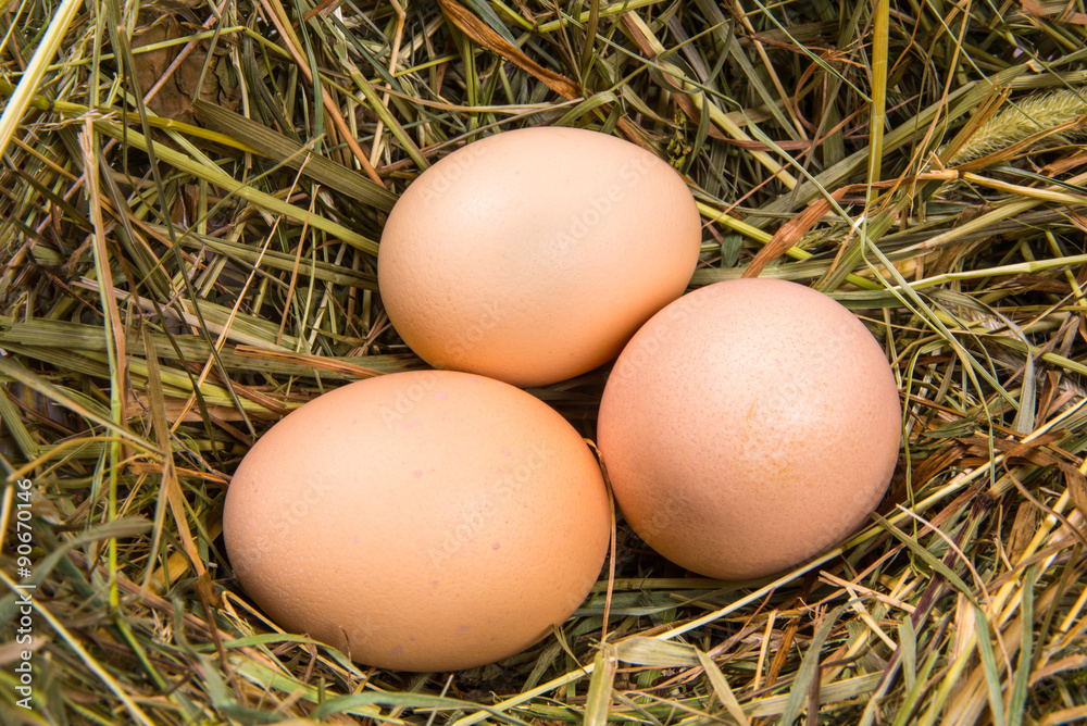 three brown eggs on a bed of hay