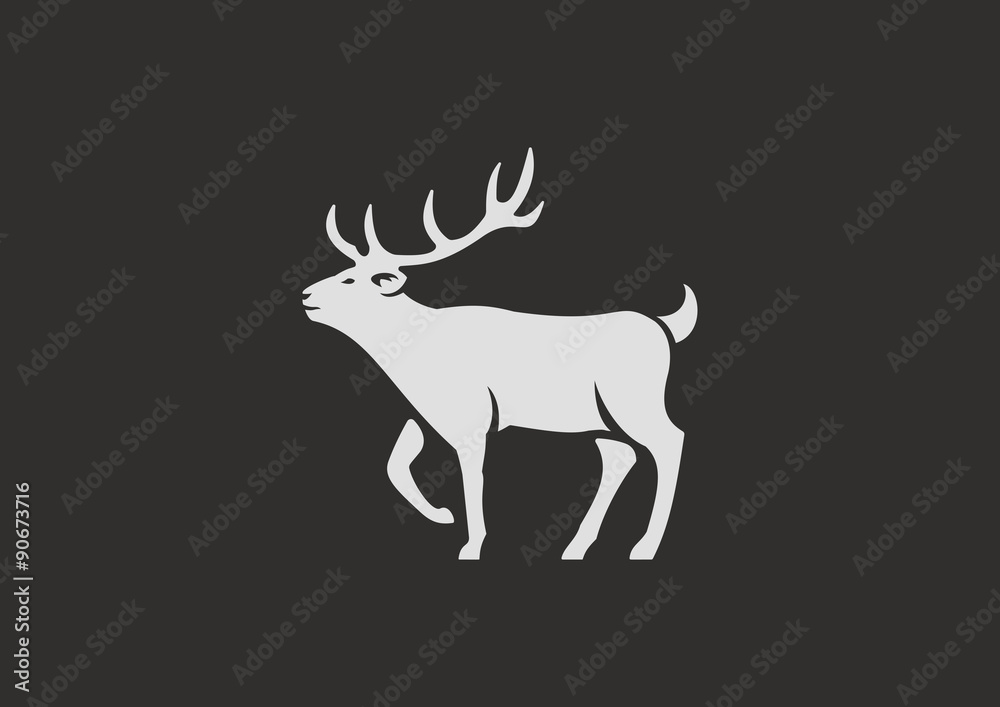 deer deer