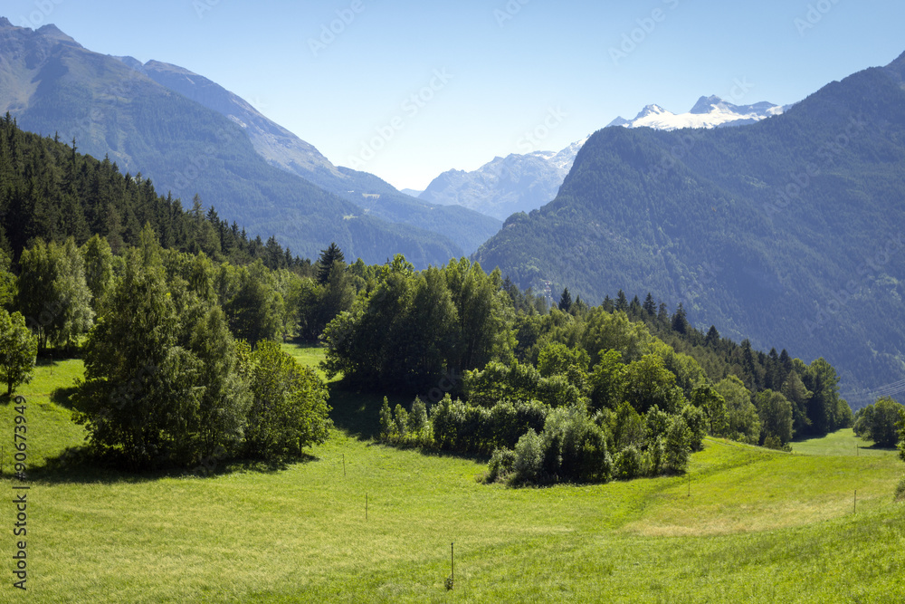 Aosta valley summer panorama. Color image