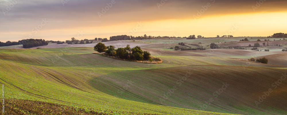 Fototapeta premium Pola skąpane w ciepłym świetle poranka