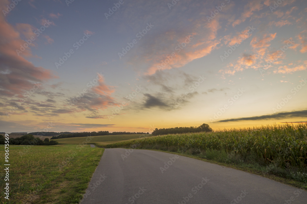 Fototapeta premium Wiejska droga pomiędzy polami o brzasku