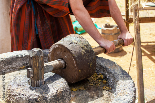 Making olive oil in ancient times