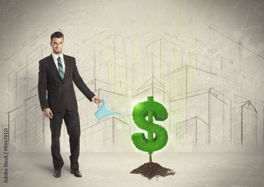 Business man poring water on dollar tree sign on city background Business man poring water on dollar tree sign on city background