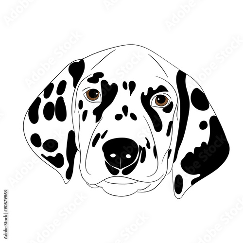 Spotty dog with trailing ears.