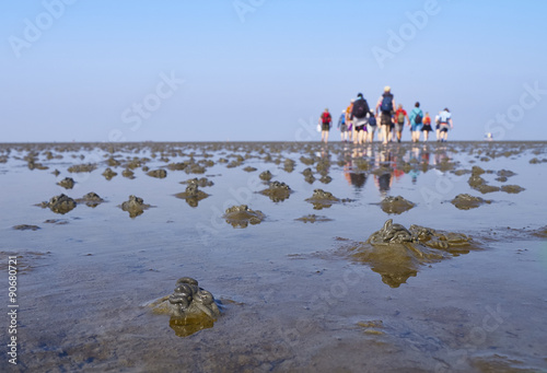 Wattwanderung im Wattenmeer mit Wattwurm